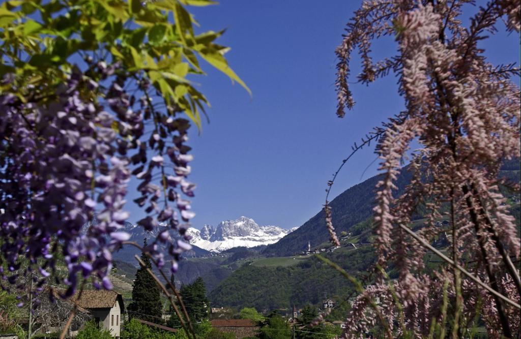 Hotel Rentschnerhof โบลซาโน ภายนอก รูปภาพ