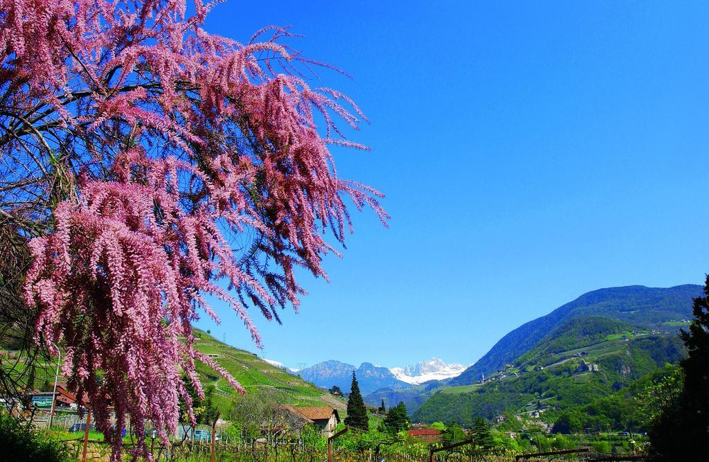 Hotel Rentschnerhof โบลซาโน ภายนอก รูปภาพ